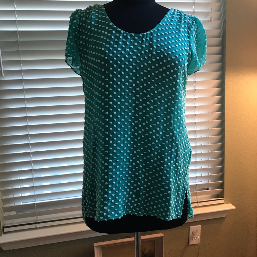 Sheer Turquoise Polka Dot Blouse